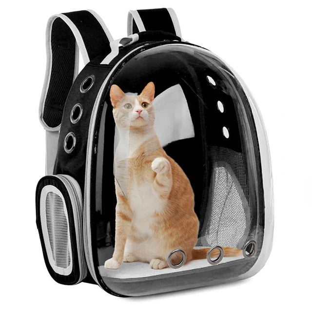 Strollers/Carriers