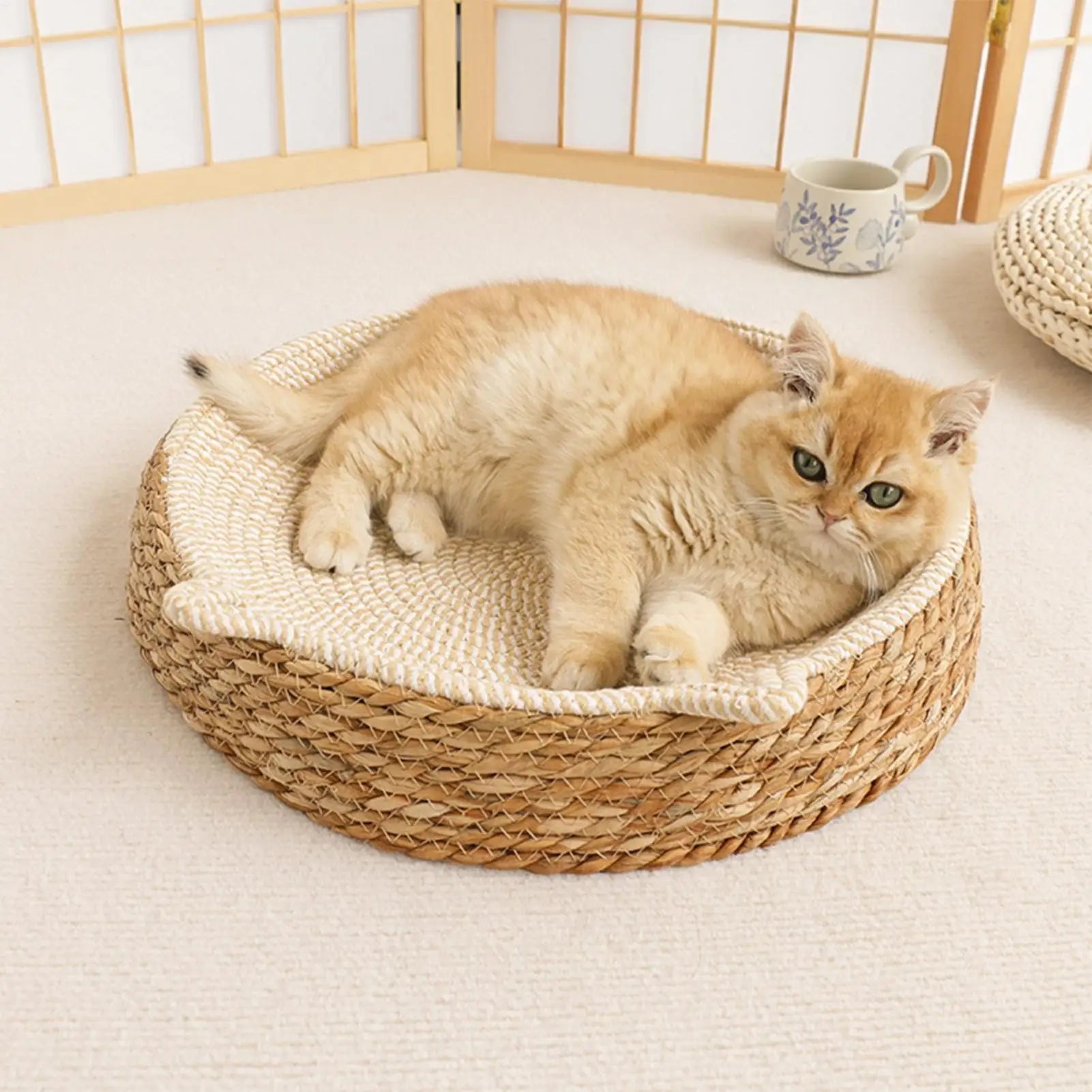 Round Cat Scratcher Bed Breathable Woven Cotton Rope Mat Kitten Ear Design Play Sleep Furniture Protector Indoor Toy