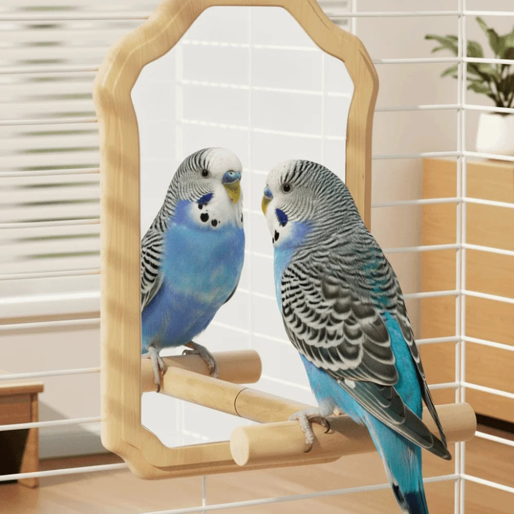 Wear-Resisting Bird Mirror Perch Bite-Resistance Durable Parrot Mirror Toy Detachable Interactive Bird Toy Bird Perching
