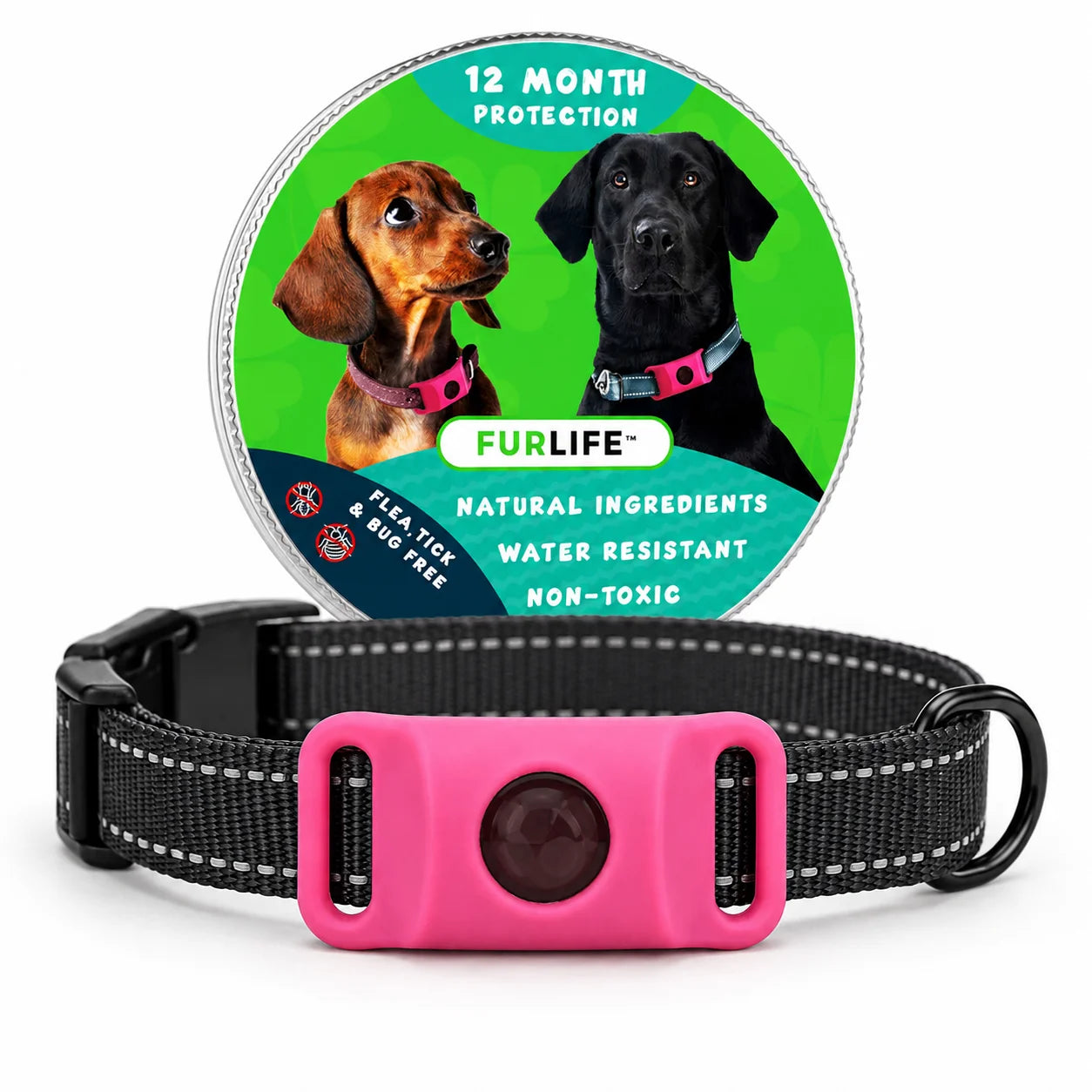 Dog Flea and Tick Collar Kit, Waterproof Adjustable Pet Protection Collar with Flea Pendant, Natural Outdoor Repellent for Small
