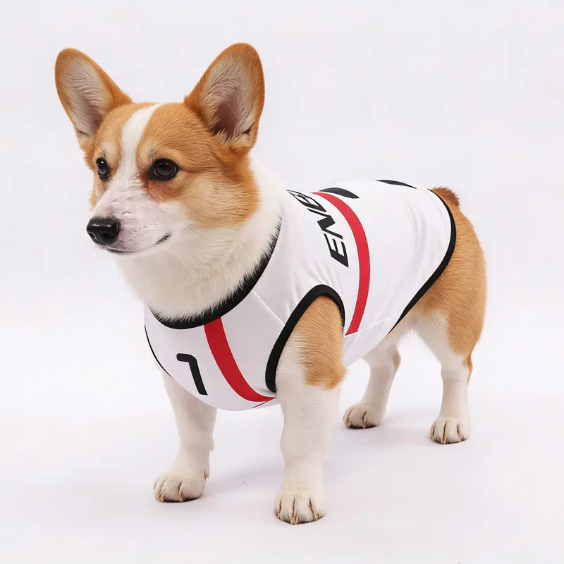 10 Pet Football Dog Jersey Summer Dog Shirt Breathable Sports Vest for Small Dogs and Cats