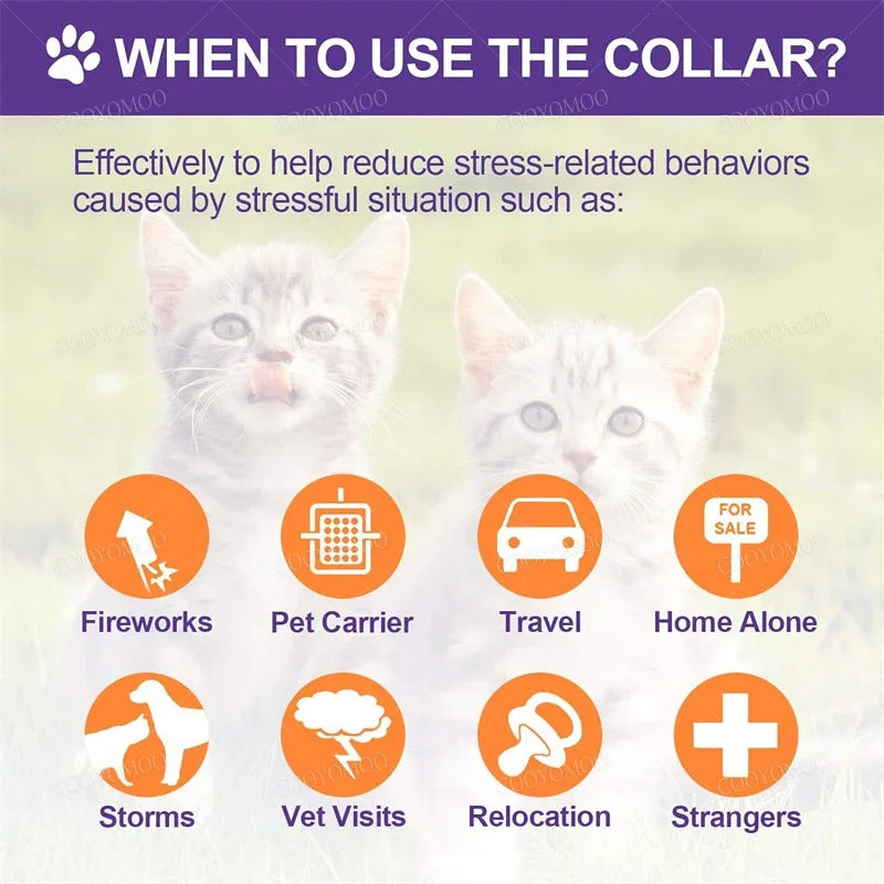 New Release Dog Calming Pheromone Collar cat Relieve Anxiety Adjustable Comfortable Collar For Puppy Kitten Large Dog Accessorie