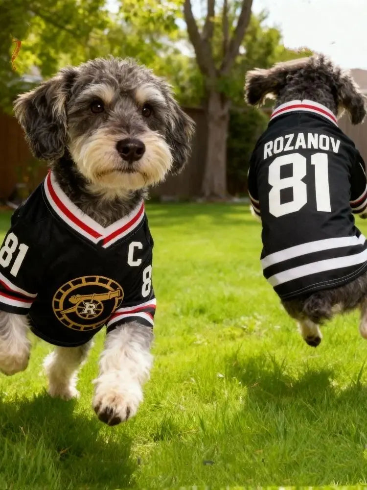2026 HOLLANDER 24 Dog Jersey Heated Rivalry Pet Shirt Boston Raiders Hockey Vest Puppy Cat dog t-shirt pet clothing