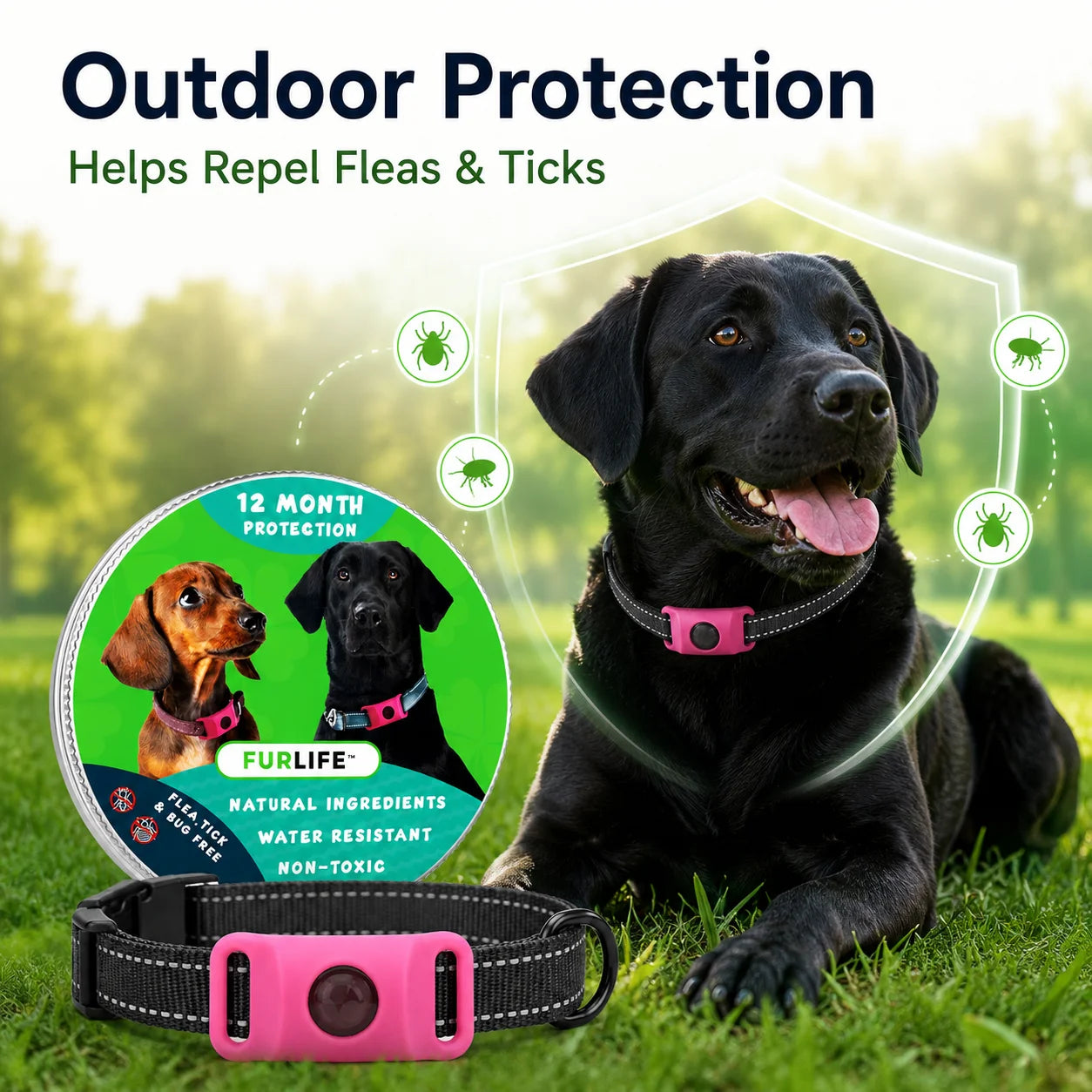 Dog Flea and Tick Collar Kit, Waterproof Adjustable Pet Protection Collar with Flea Pendant, Natural Outdoor Repellent for Small