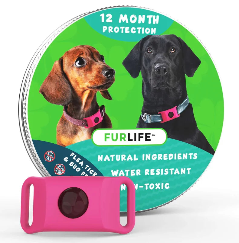 Dog Flea and Tick Collar Kit, Waterproof Adjustable Pet Protection Collar with Flea Pendant, Natural Outdoor Repellent for Small