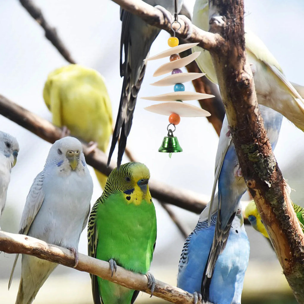 Chewing Cuttlefish Bone Bird Parrot for Parakeets Beige Cuddle Bones Birds