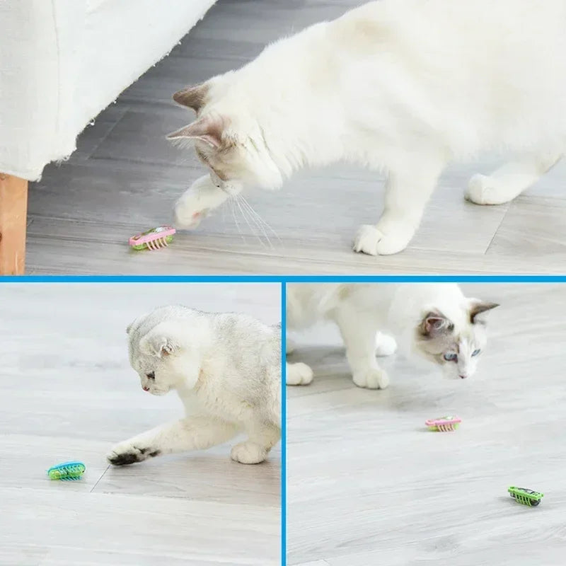 Smart Interactive Cat Toy with Auto Escape Obstacle Electric Vibrating Bug for Kitten Stimulation Play Hunting Training