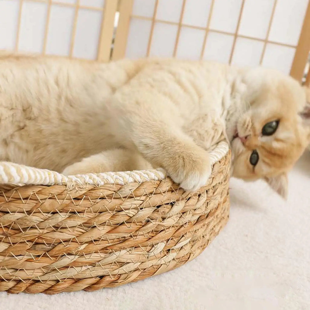 Round Cat Scratcher Bed Breathable Woven Cotton Rope Mat Kitten Ear Design Play Sleep Furniture Protector Indoor Toy