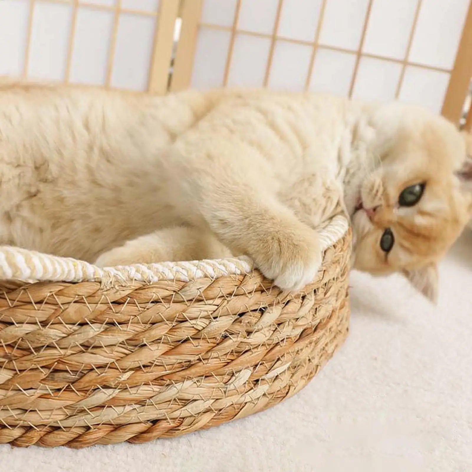 Round Cat Scratcher Bed Breathable Woven Cotton Rope Mat Kitten Ear Design Play Sleep Furniture Protector Indoor Toy