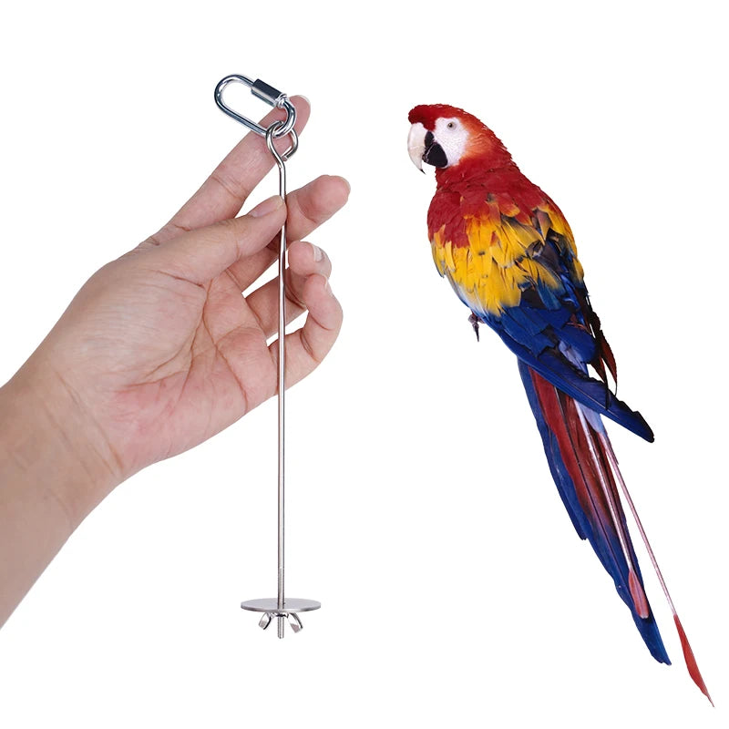 1/2pcs Parrot Stainless Steel Fruit Fork Toy Bird Cage Supplies Fruit Bird Feeder Pet Parrot Accessories Pet Bird Supplies