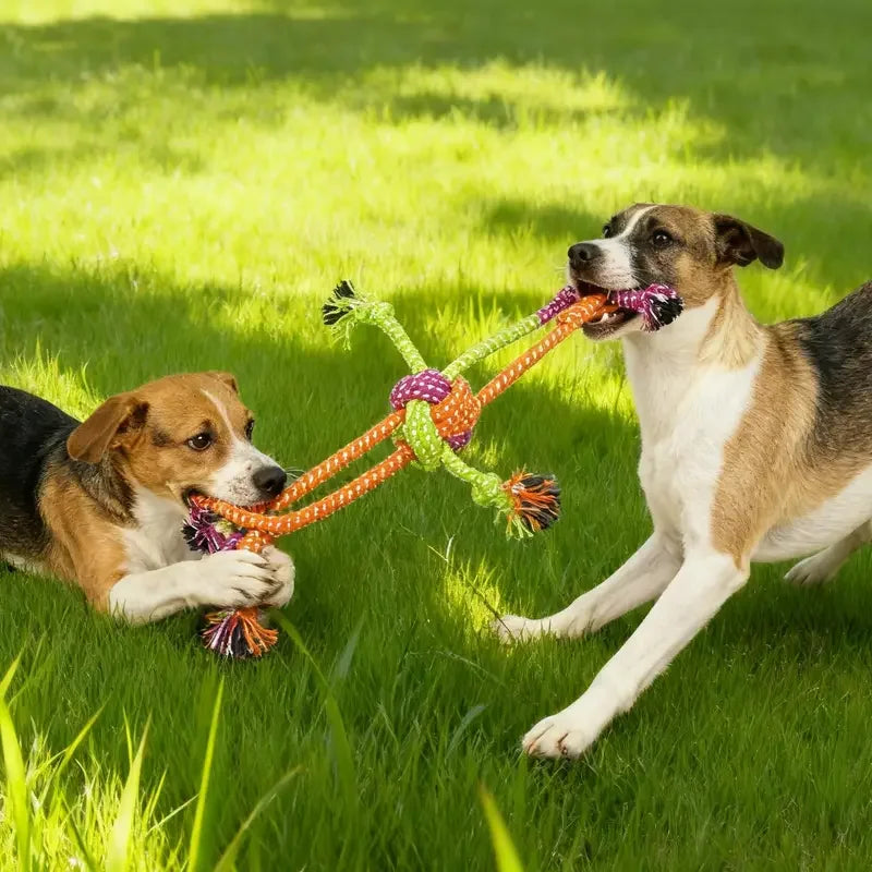 Durable Dog Rope Toy Teeth Cleaning Pet Interactive Chewing Dog Toy Outdoor Training Puppy  Bone Knot Rope Pet Products