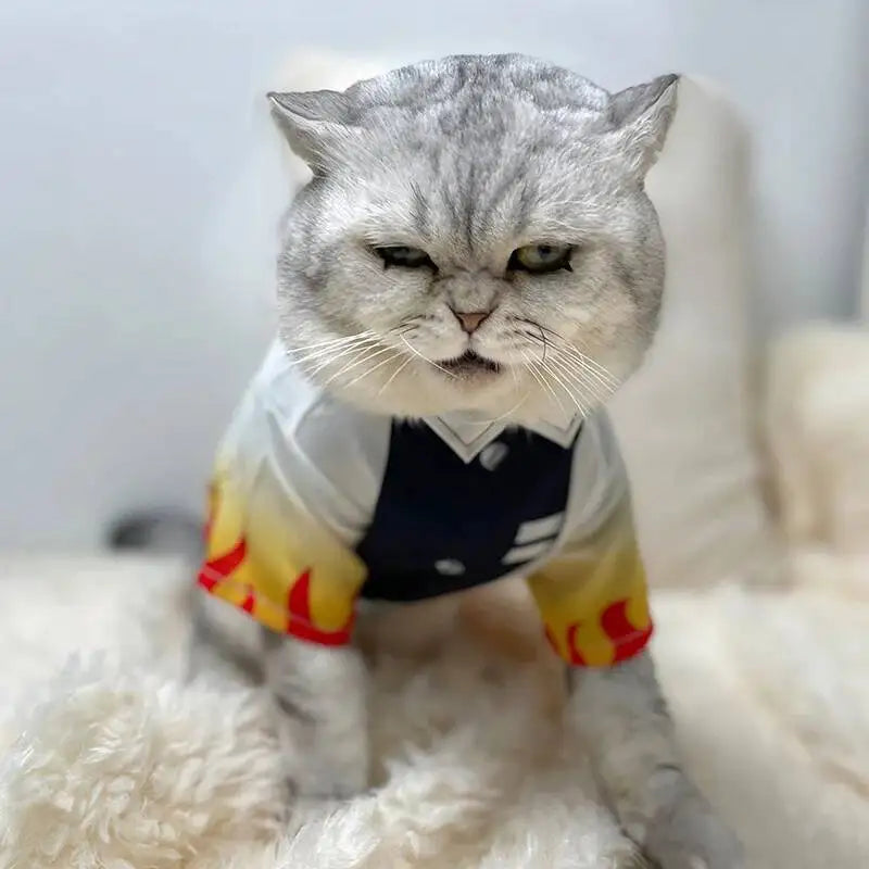 Halloween Pets Cosplay Rengoku Kyoujurou Pet Cosplay Photography Rengoku Kyoujurou Cat Clothes Dog Ghost Killing Team Pets