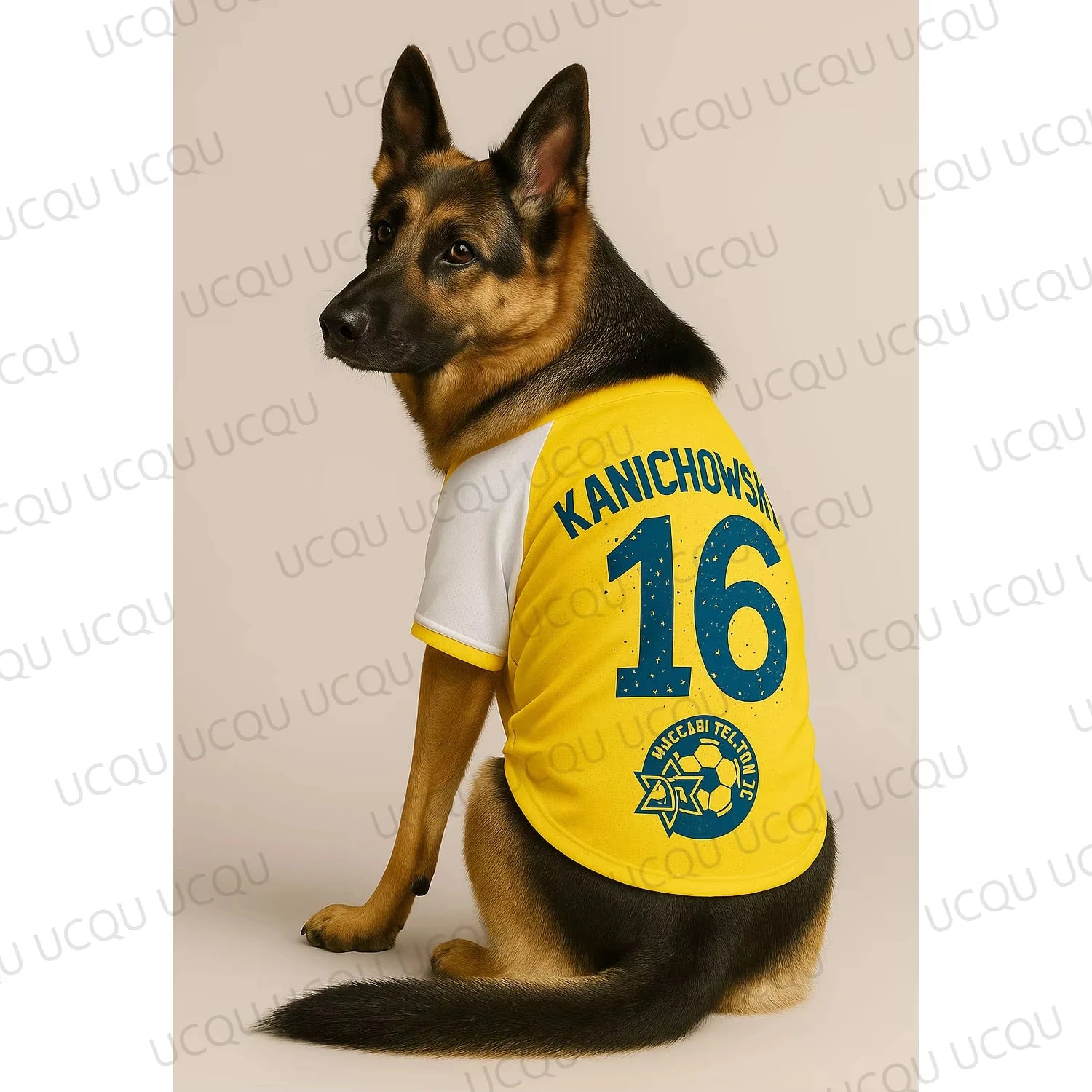 1pcDog Football Jersey Breathable Pet Sports Shirt Print Dog Apparel for Summer Cool Clothes for Walking Training Outdoor Sporty