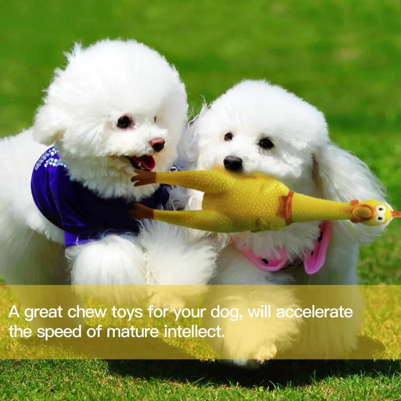 2 Pcs Screaming Chicken Dog Toy Latex Squeaky Chew Toy Bite Resistant Molar Interactive Training Pet Vent Toy