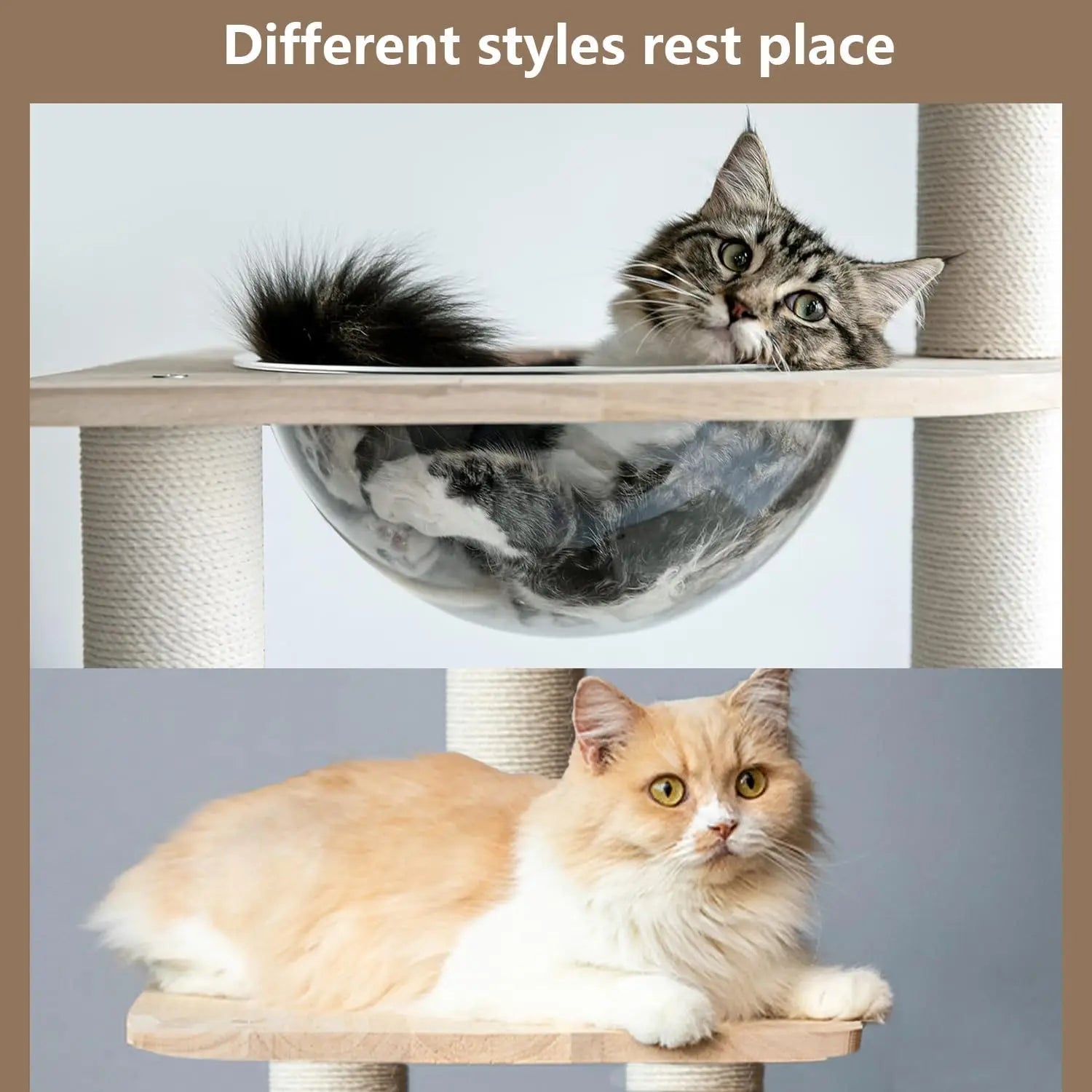 Multi-level cat climbing frames, indoor cat towers, cat beds, scratching posts, and ladders—sturdy and durable cat furniture