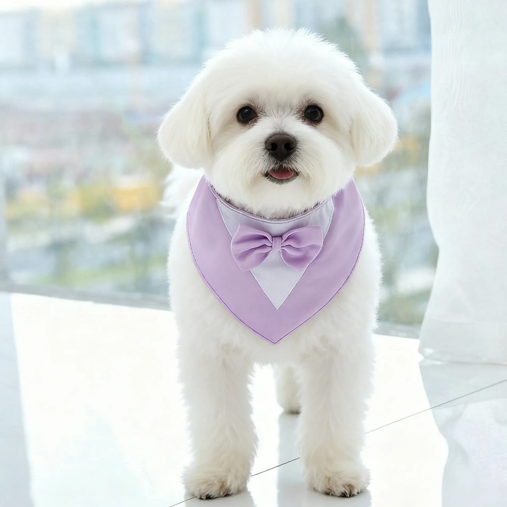 Adjustable Formal Dog Bow Tie Bandana Cute Pet Triangle Bib Scarf for Dogs And Cats Wedding Birthday Party Pet Costume Accessory
