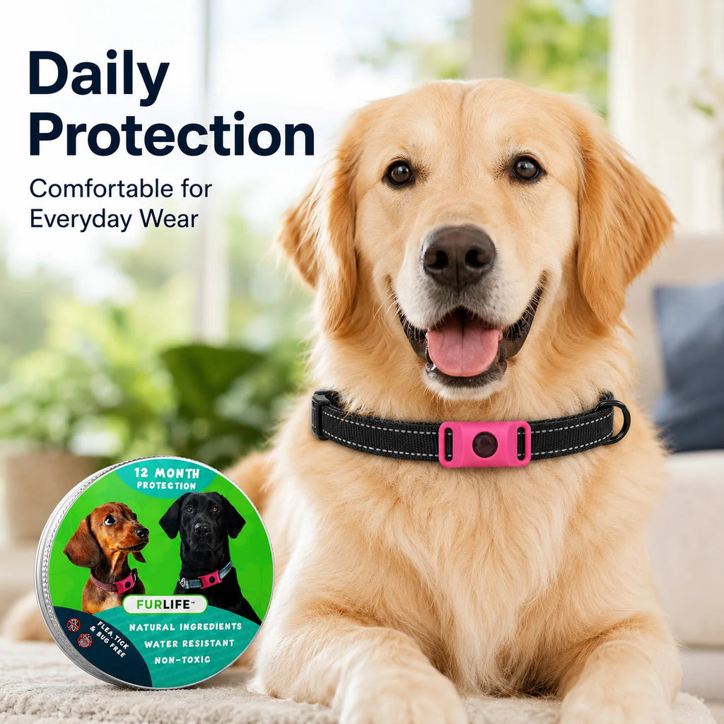Dog Flea and Tick Collar Kit, Waterproof Adjustable Pet Protection Collar with Flea Pendant, Natural Outdoor Repellent for Small