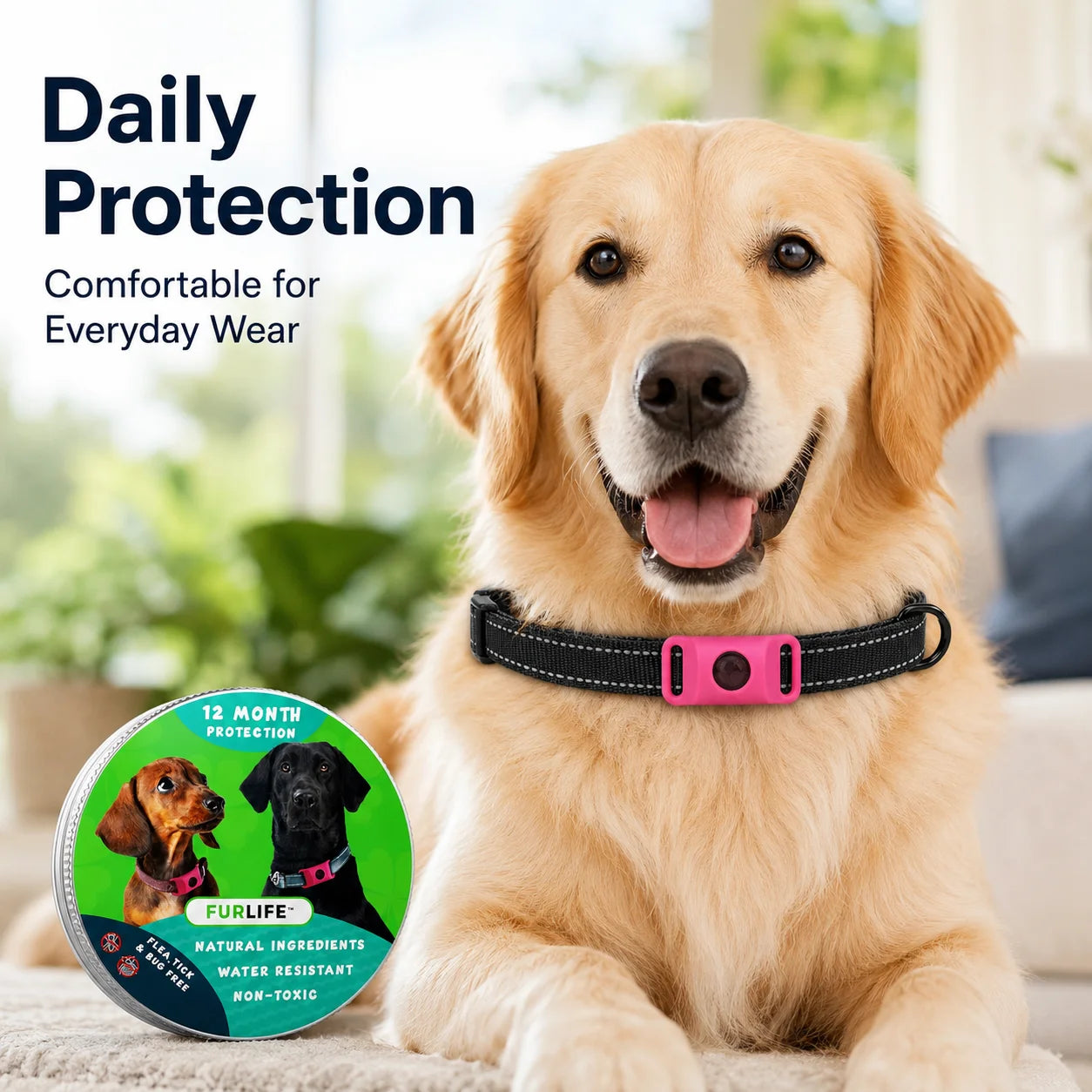 Dog Flea and Tick Collar Kit, Waterproof Adjustable Pet Protection Collar with Flea Pendant, Natural Outdoor Repellent for Small