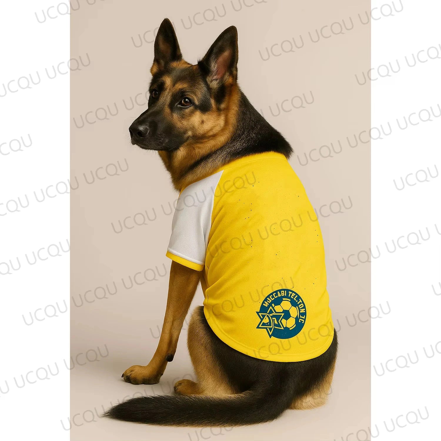 1pcDog Football Jersey Breathable Pet Sports Shirt Print Dog Apparel for Summer Cool Clothes for Walking Training Outdoor Sporty