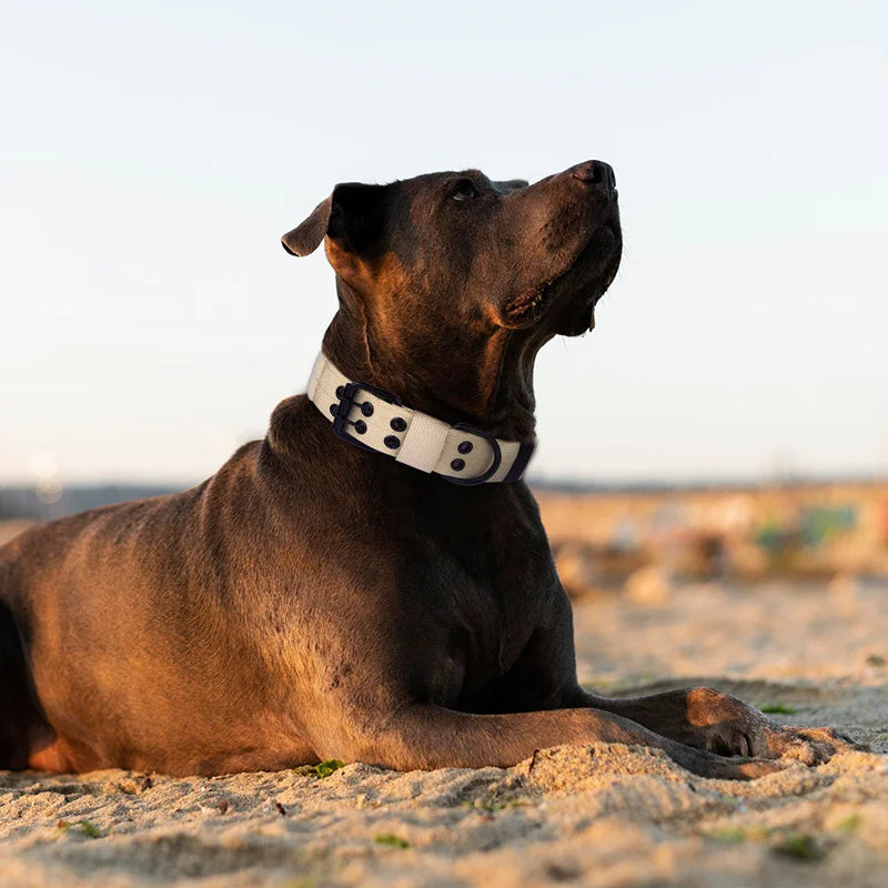 Tactical Dog Collar, Heavy Duty Nylon Dog Collar with Double Buckle, Adjustable Military Dog Collar for Medium Large Dogs