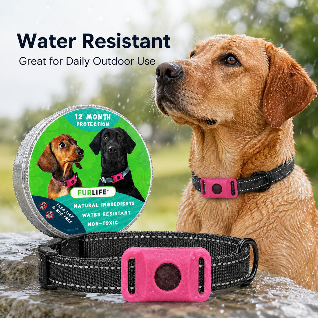 Dog Flea and Tick Collar Kit, Waterproof Adjustable Pet Protection Collar with Flea Pendant, Natural Outdoor Repellent for Small