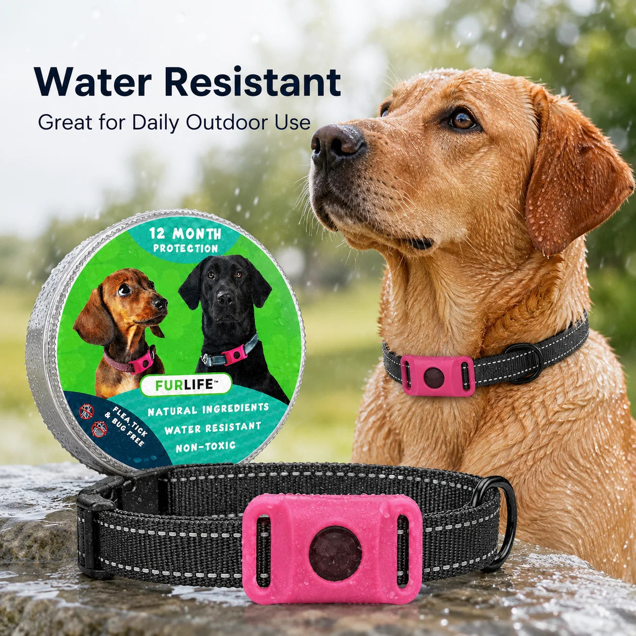 Dog Flea and Tick Collar Kit, Waterproof Adjustable Pet Protection Collar with Flea Pendant, Natural Outdoor Repellent for Small