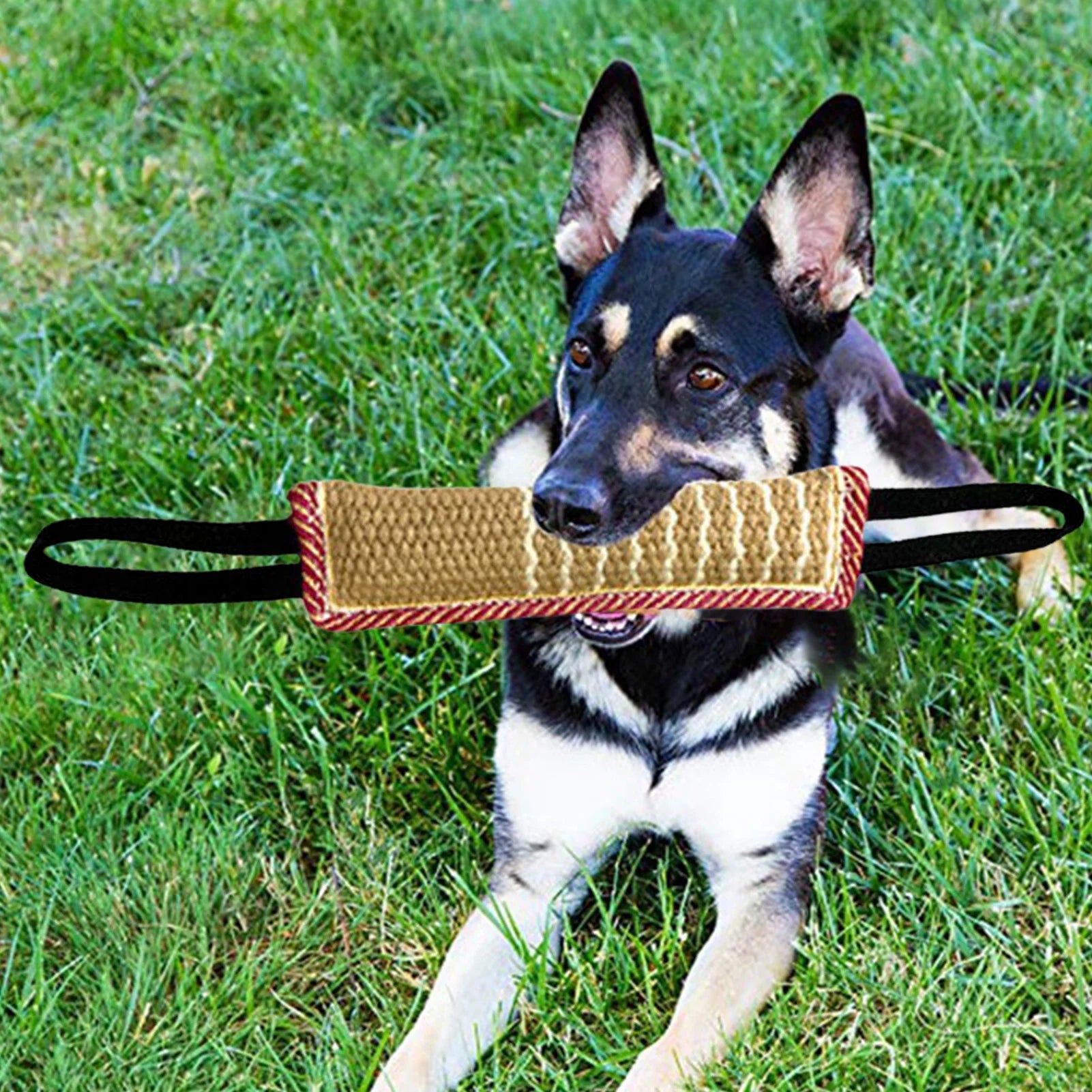 Pet Dog Chew Tug Toys Dogs Teether Bite Pillow Interactive Dogs Rope Toys Safe Teeth Cleaning Chewing Toy Pets Training Supplies