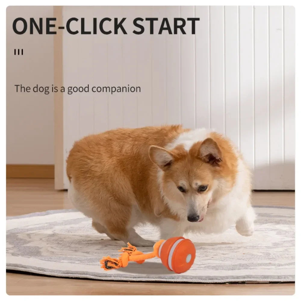 Pet Ball for Dogs Interactive Toys Motion Activate Rolling Ball for Puppy/Small Dogs Automatic Moving Toy USB Rechargeable Toy