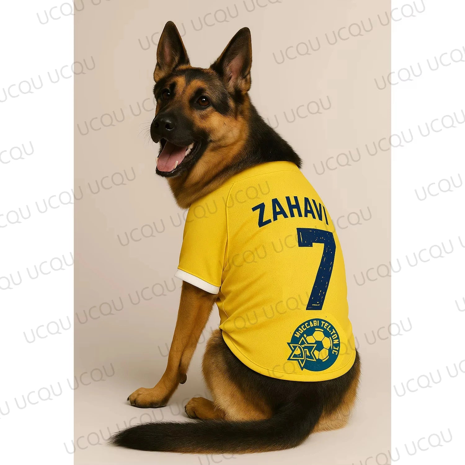 1pcDog Football Jersey Breathable Pet Sports Shirt Print Dog Apparel for Summer Cool Clothes for Walking Training Outdoor Sporty