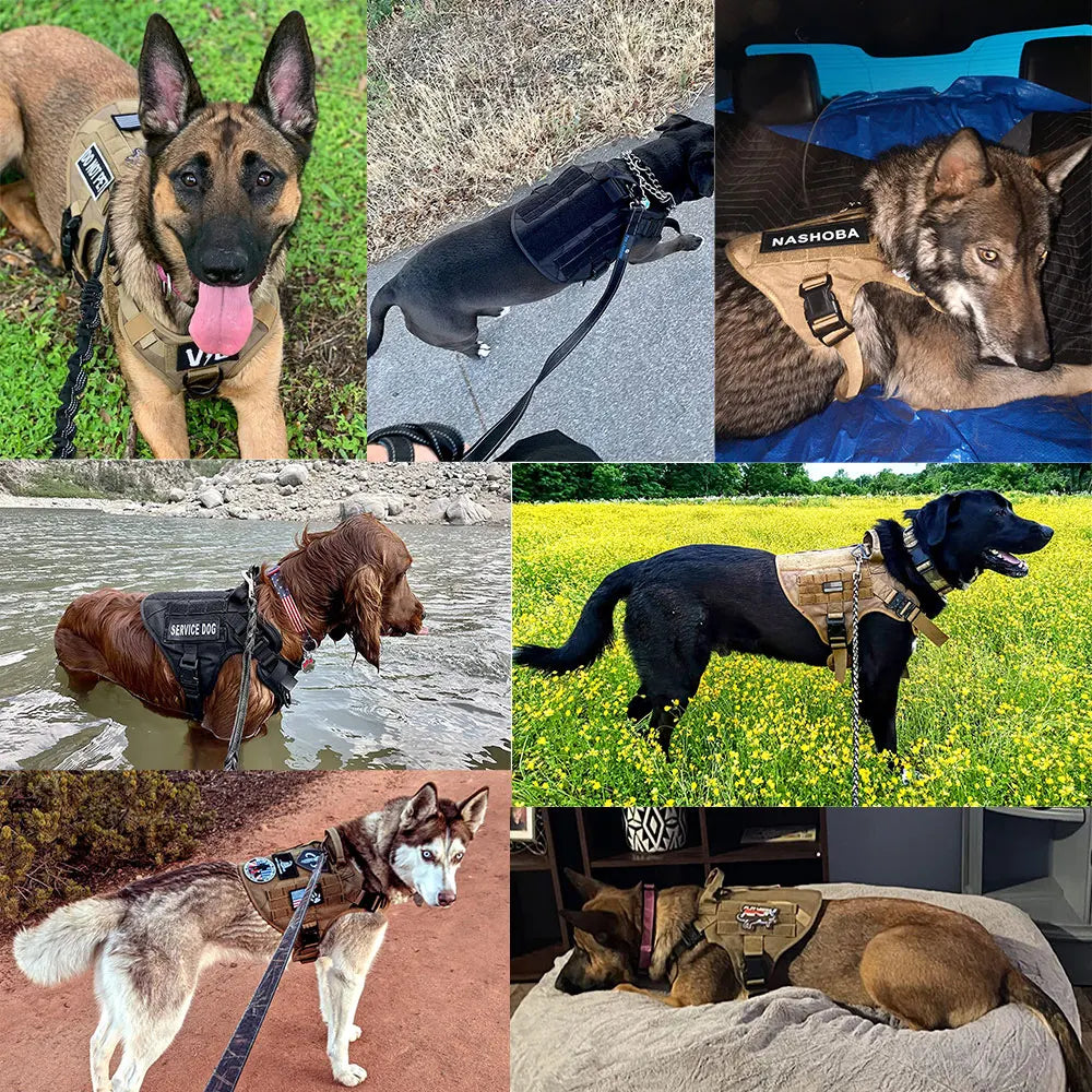Large Dog Harness Collar Leash Bags Pet German Shepherd Training Walking Vest Dog Harnesses For Medium Large Dogs Accessories