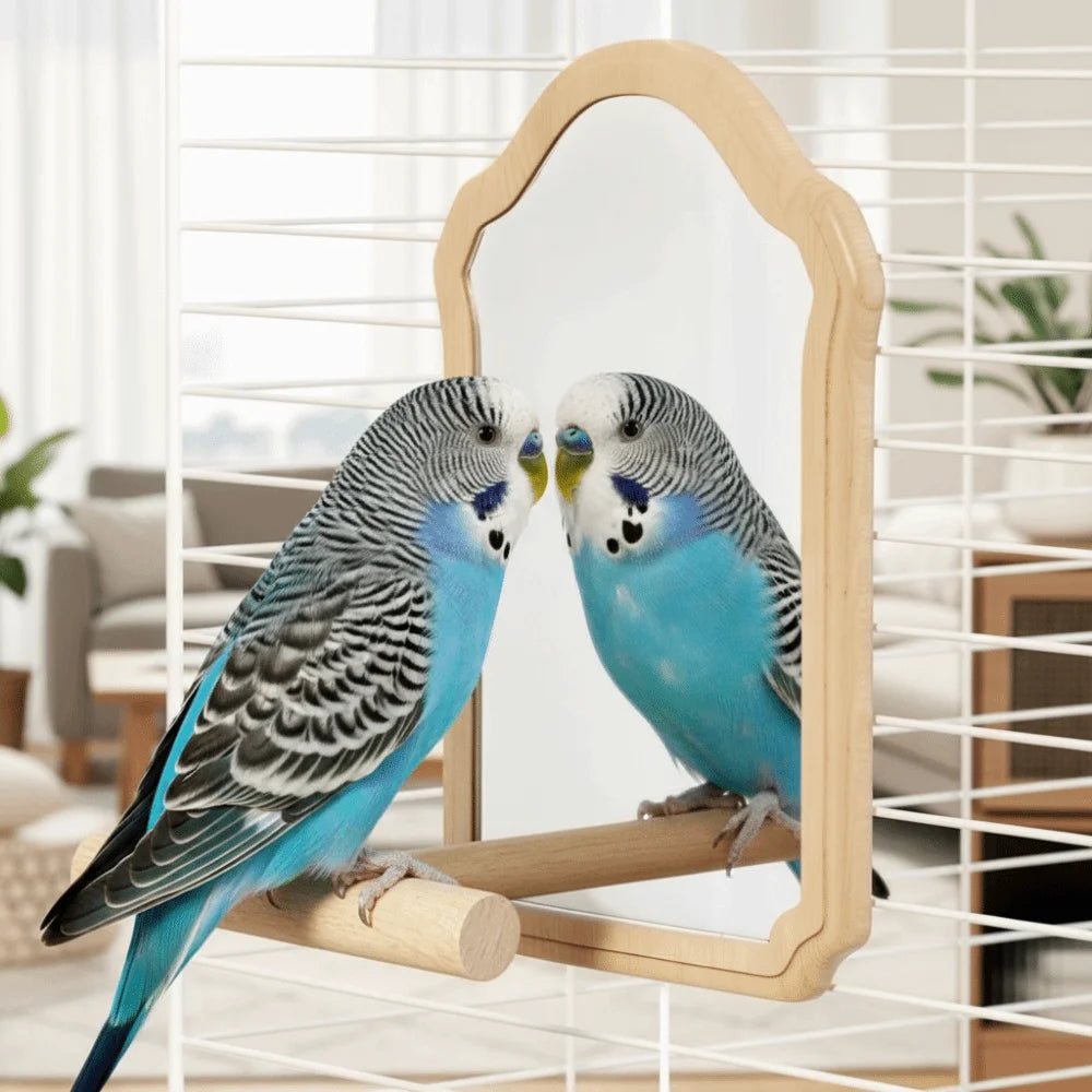 Wear-Resisting Bird Mirror Perch Bite-Resistance Durable Parrot Mirror Toy Detachable Interactive Bird Toy Bird Perching