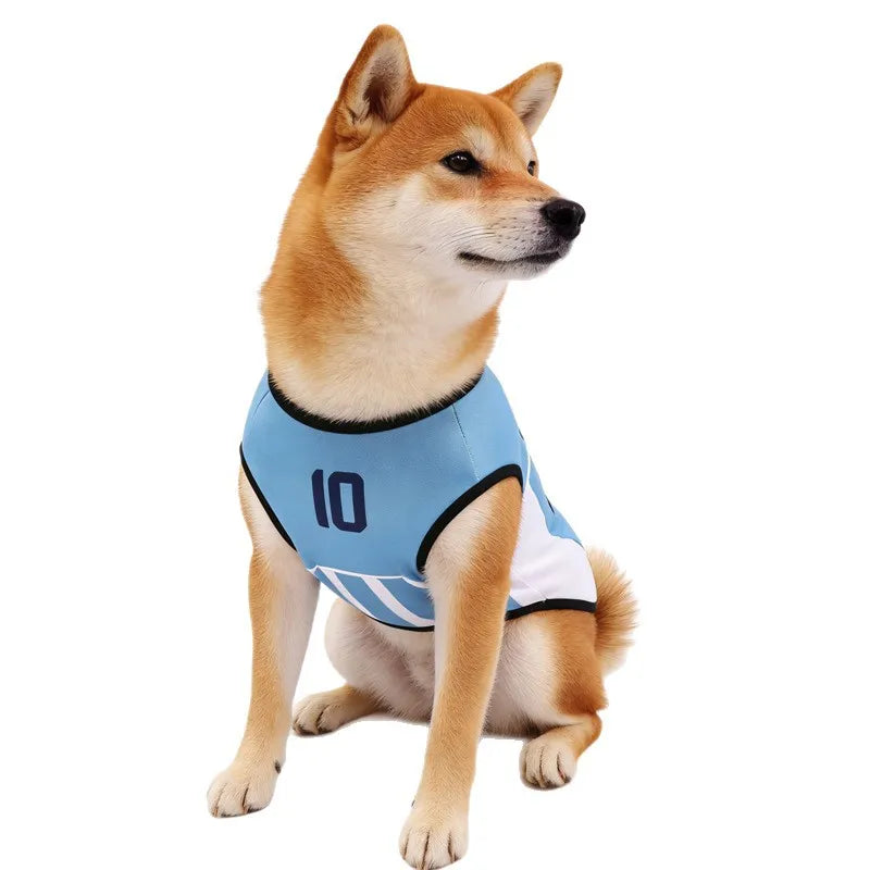 10 Pet Football Dog Jersey Summer Dog Shirt Breathable Sports Vest for Small Dogs and Cats
