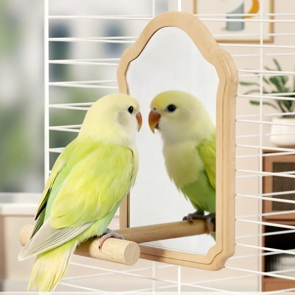 Wear-Resisting Bird Mirror Perch Bite-Resistance Durable Parrot Mirror Toy Detachable Interactive Bird Toy Bird Perching