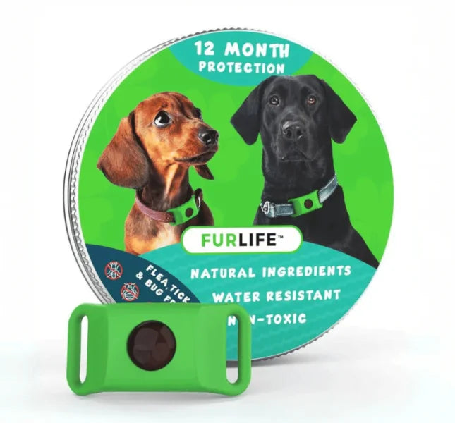 Dog Flea and Tick Collar Kit, Waterproof Adjustable Pet Protection Collar with Flea Pendant, Natural Outdoor Repellent for Small