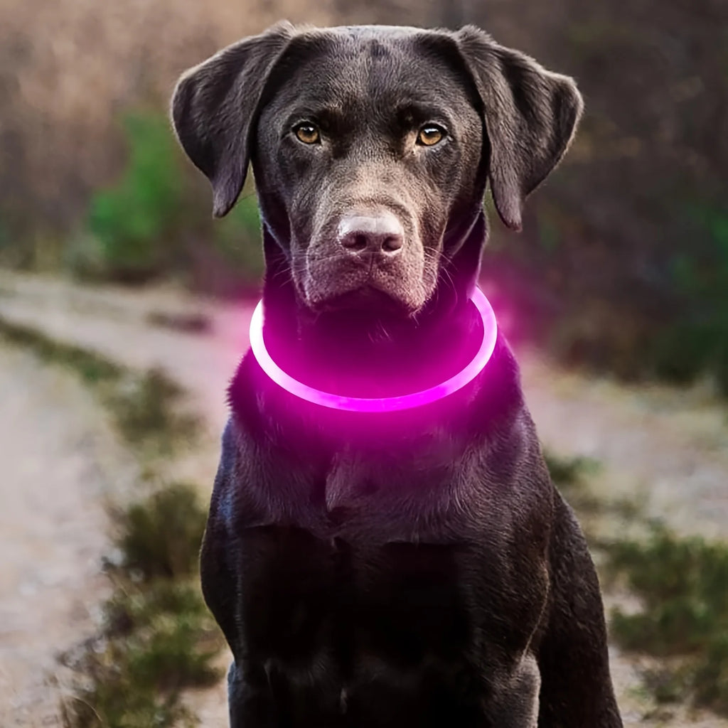 Pet Dog Cat LED Light Collar Luminous Anti-Lost Dog Collar USB Rechargeable Dog Necklace Collar Night Identification Collar