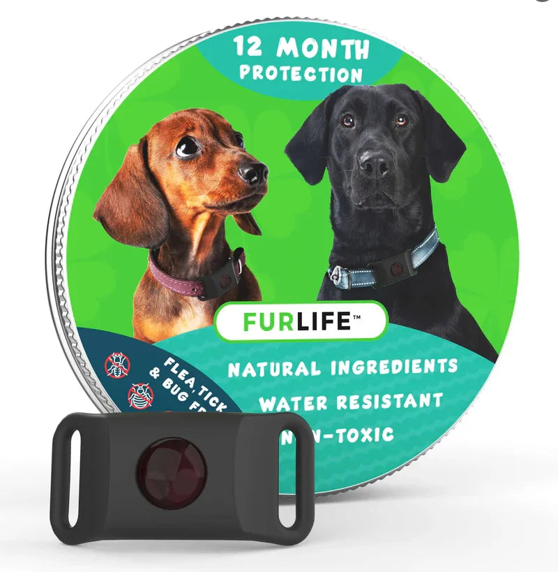 Dog Flea and Tick Collar Kit, Waterproof Adjustable Pet Protection Collar with Flea Pendant, Natural Outdoor Repellent for Small