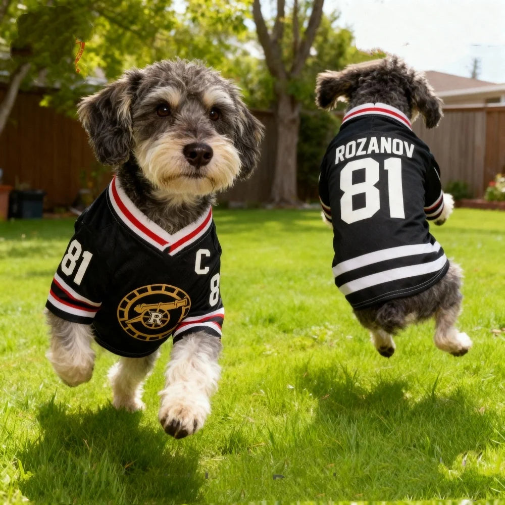 2026 HOLLANDER 24 Dog Jersey Heated Rivalry Pet Shirt Boston Raiders Hockey Vest Puppy Cat dog t-shirt pet clothing
