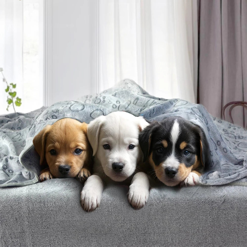 Ultra-Soft Paw Print Dog Blanket | Cozy & Washable Pet Pad