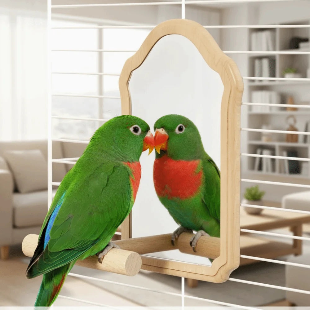 Wear-Resisting Bird Mirror Perch Bite-Resistance Durable Parrot Mirror Toy Detachable Interactive Bird Toy Bird Perching